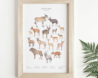 African antelope digital download art print
