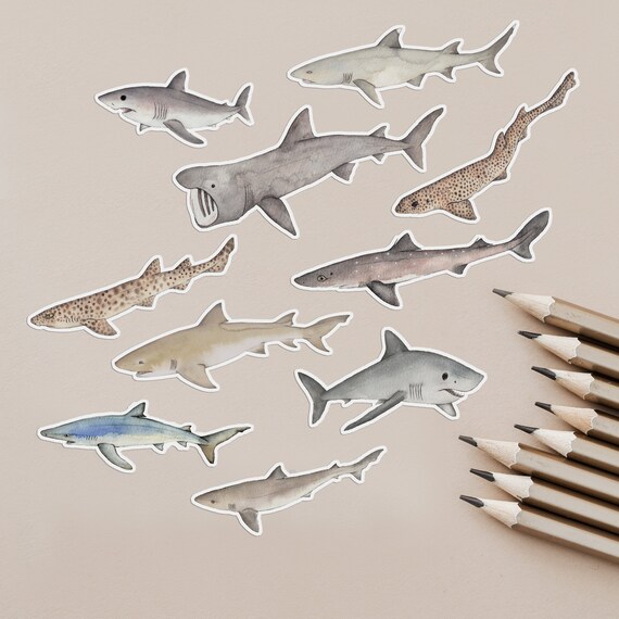 shark stickers - animal sticker pack