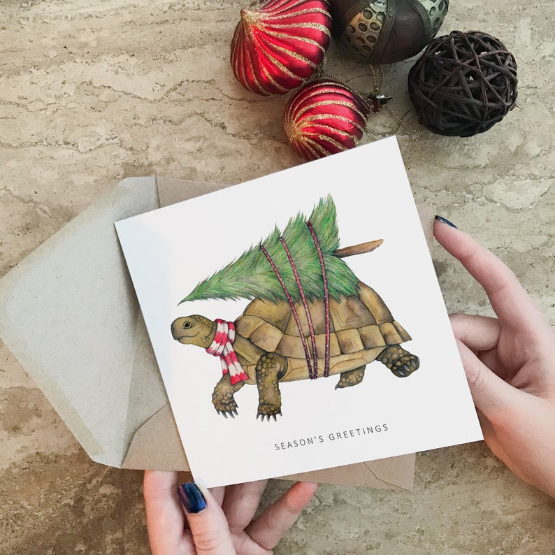 Tortoise animal Christmas card image 2