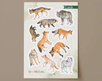 Wild dog (canid)  Sticker Sheet
