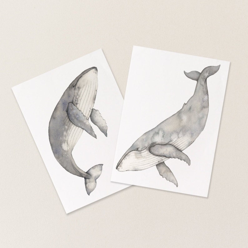 Humpback whale postcards set of two image 1