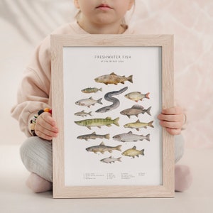 Freshwater fish downloadable art print