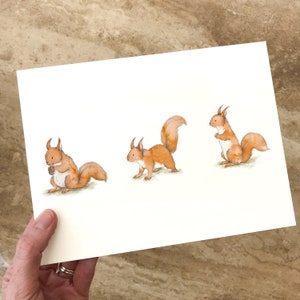 Red squirrel postcard image 2