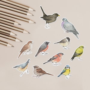 Bird paper stickers