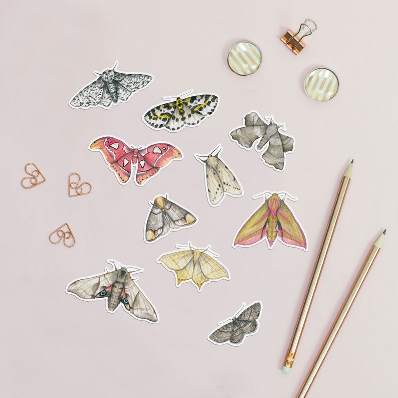 Ten different moth stickers on a desk next to some pencils. Each small sticker is a different illustration of a moth, cut to the shape of the animal with a narrow white border around it. They are all multicoloured.