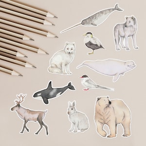 Arctic animal paper stickers