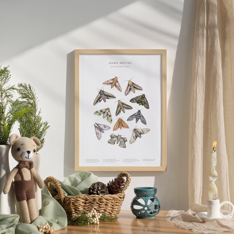 Hawk Moths Digital Download Art Print - Etsy