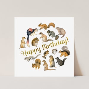 Carte d'anniversaire écureuil
