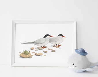 Arctic terns digital print