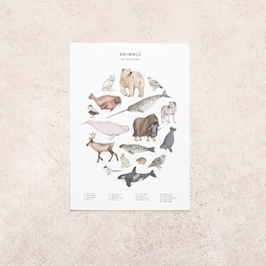 Carte postale animaux de l'Arctique