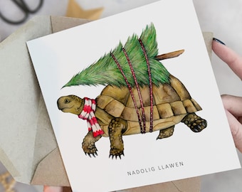 Nadolig Llawen Welsh Tortoise Christmas Card