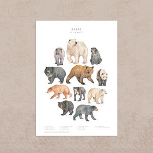 A postcard with watercolour illustrations of 11 different bears in shades of brown, cream and black. They are arranged into an oval on a white background with the words "Bears of the world" typed at the top of the postcard and the name of each species listed at the bottom.