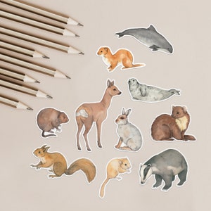 Ensemble d'autocollants d'animaux de mammifères britanniques