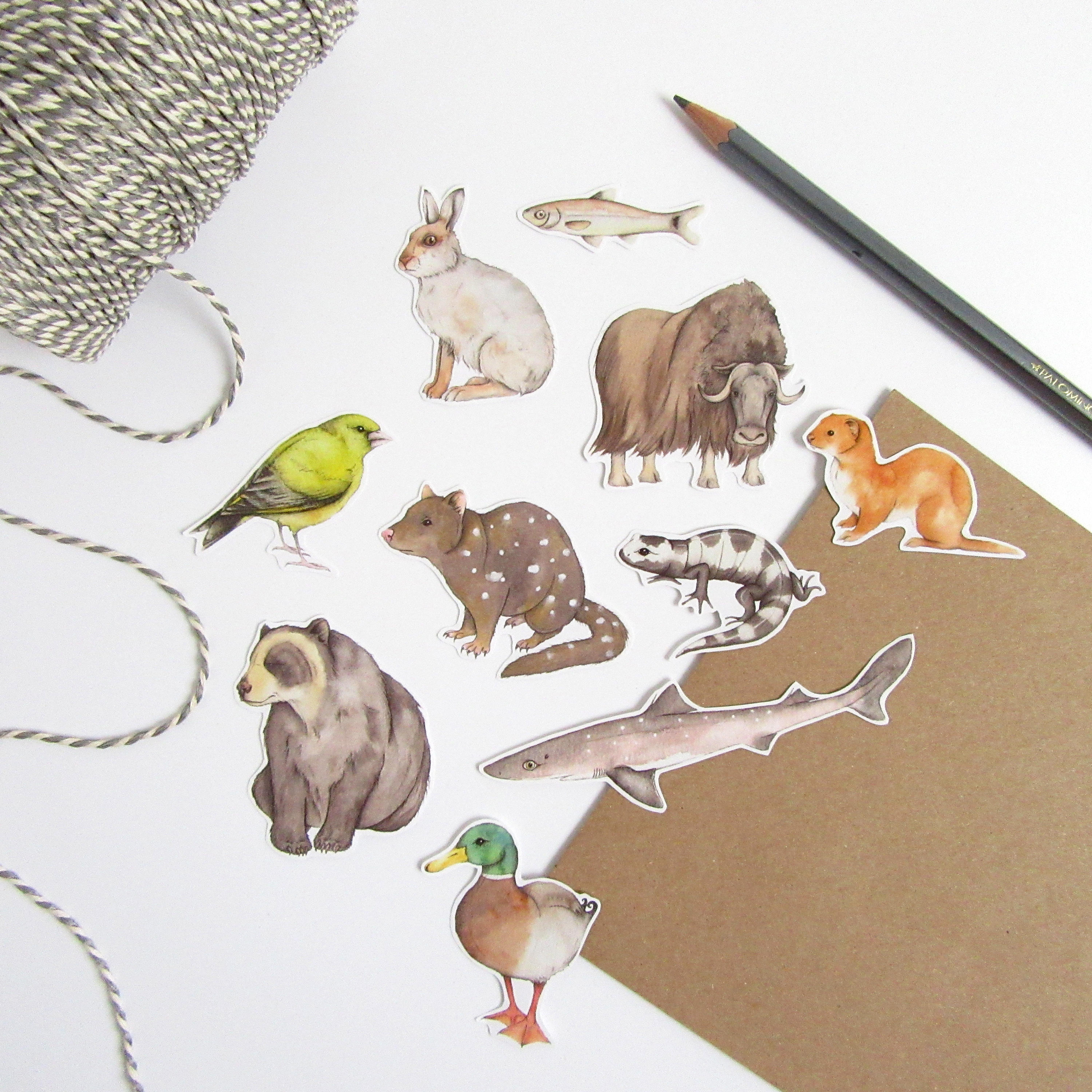 Rectangular Sticker Animals Animal sticker pack | Etsy