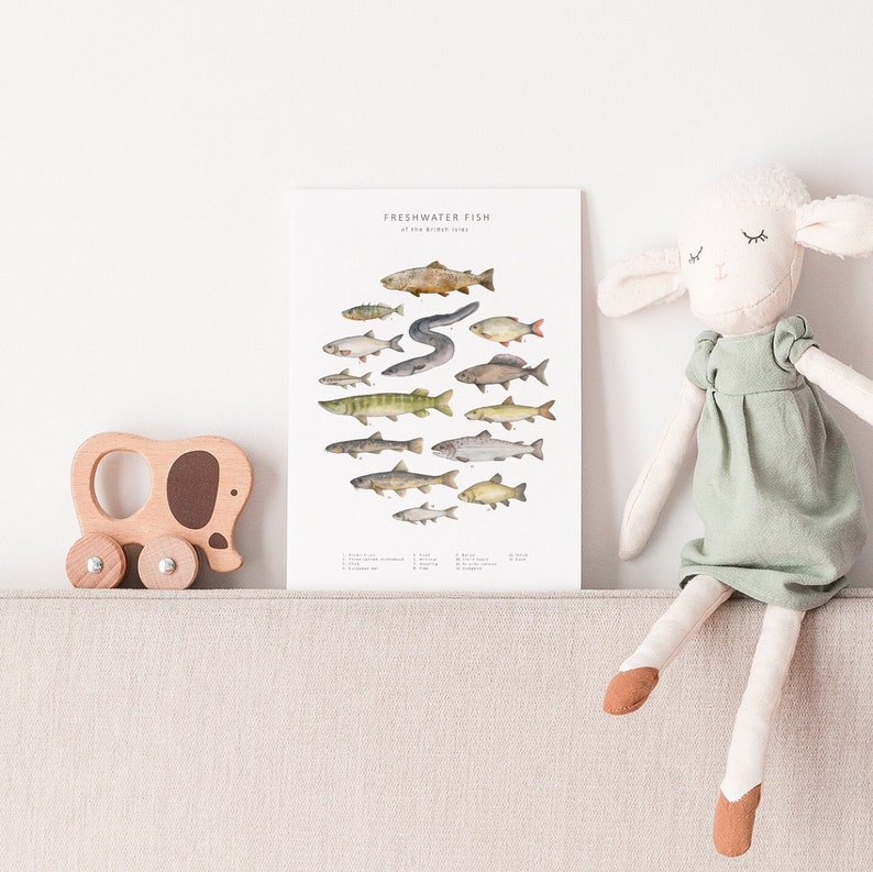 14 different fish species illustrated in watercolour arranged on a postcard with a white background.