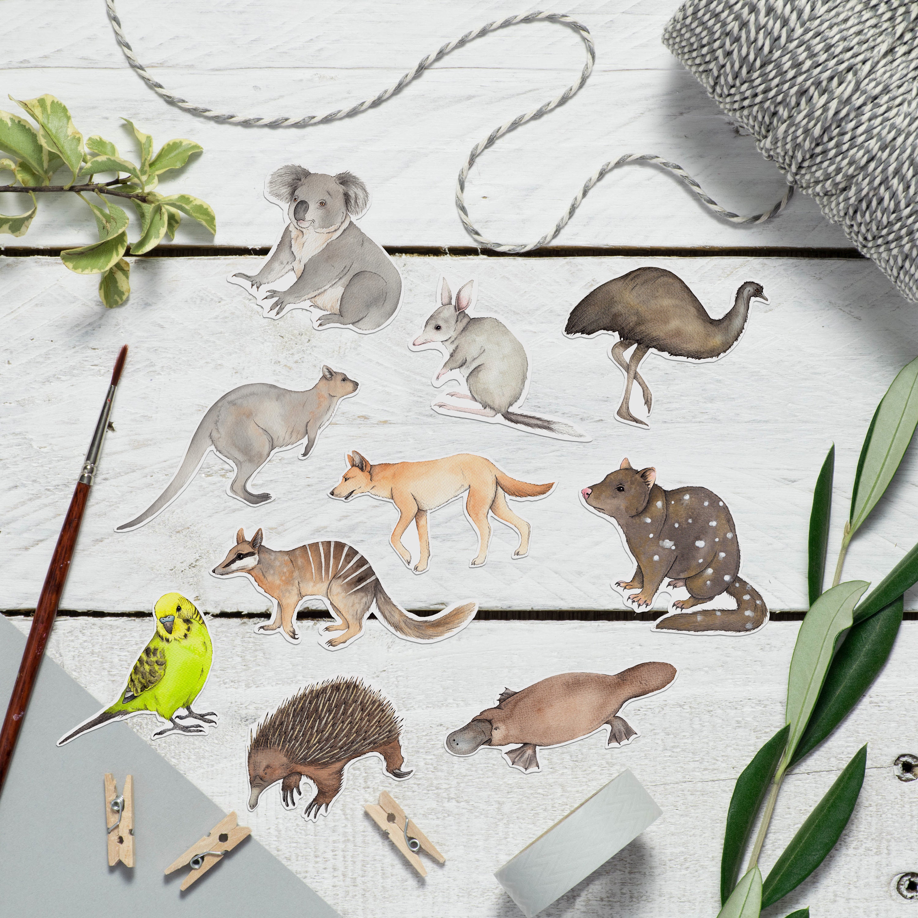 Australian Animal Sticker Set Etsy UK