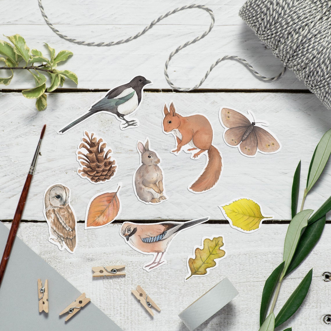 Woodland Animal Stickers Set - Etsy