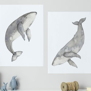 Watercolour whale prints - set of two humpback whales