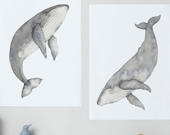 Watercolour whale prints - set of two humpback whales