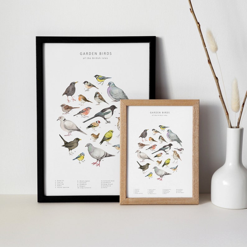 Garden birds watercolour print image 3