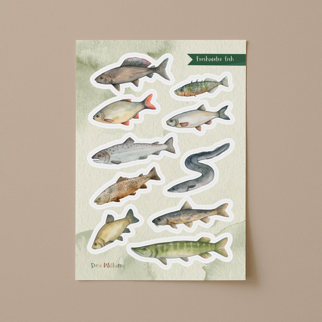 Freshwater Fish Animal Sticker Sheet - Etsy