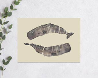 Sperm whale postcard