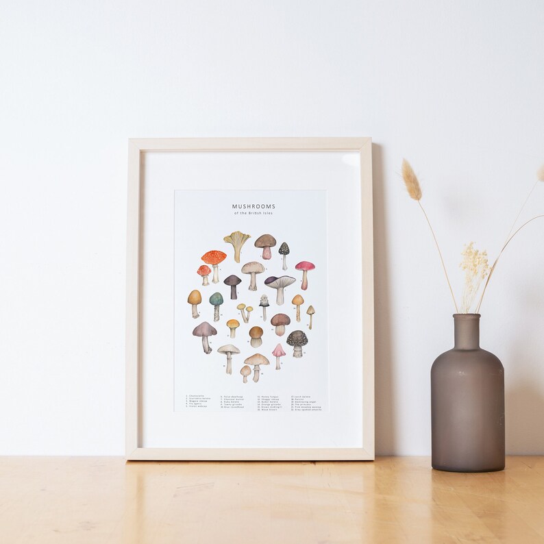 Puede incluir: Un cuadro enmarcado con una ilustraci&oacute;n en acuarela de varias setas, numeradas y con el t&iacute;tulo "Mushrooms of the British Isles". El marco es de madera clara, y la impresi&oacute;n est&aacute; sobre una superficie de madera.