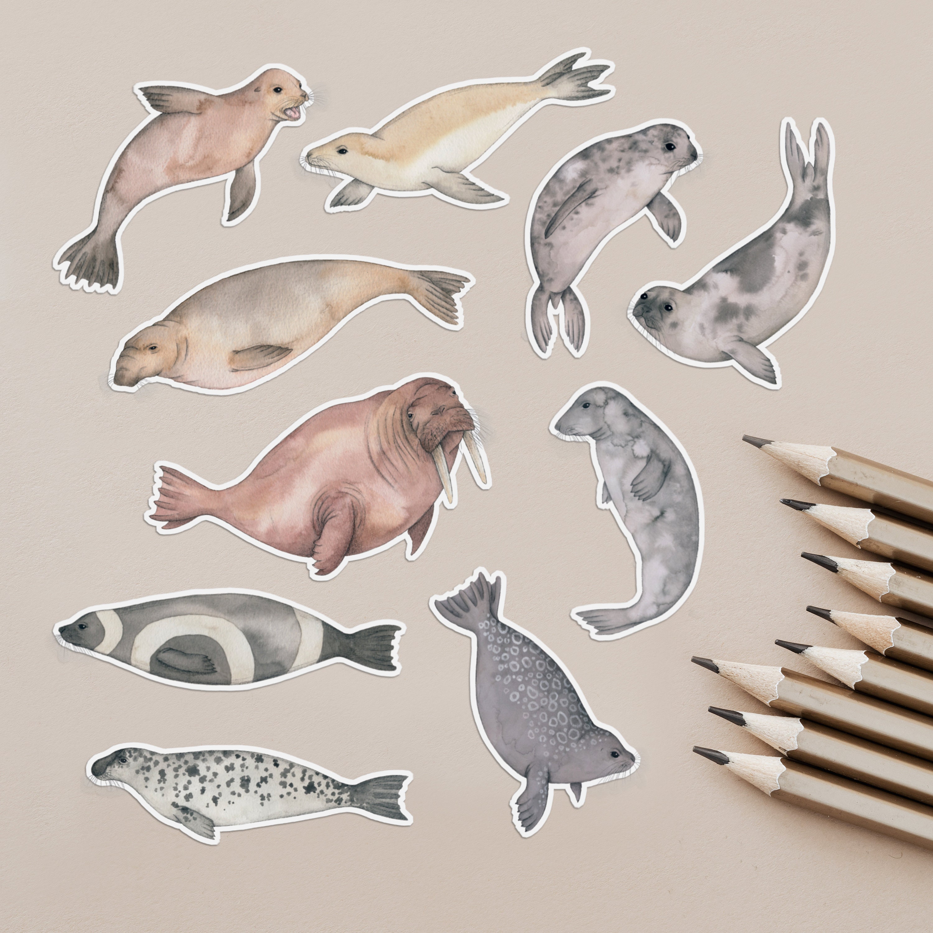 Animal Stickers Seals Etsy