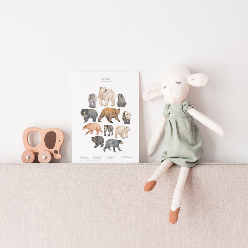 A postcard on a shelf alongside a wooden elephant and cuddly lamb. The postcard is white with 11 different watercolour bears on it.