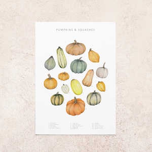 Pumpkins postcard
