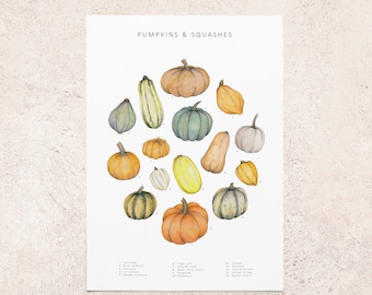 Pumpkins postcard