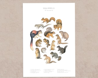 Squirrels Watercolour Postcard print