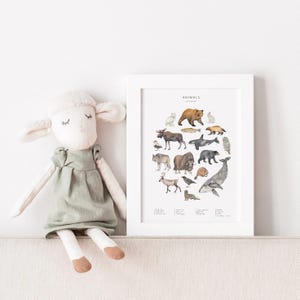 Carte postale animaux d'Alaska