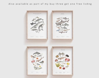 Wildlife prints FOUR FOR THREE