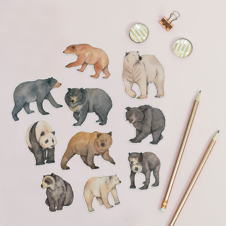 Ten different bear stickers lay on a pale background next to some pencils. Each small sticker is a coloured and realistic illustration of a different bear. They are cut to the shape of the animal with a narrow white border round each.