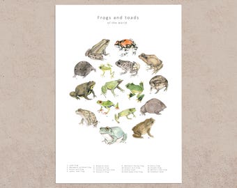 Frogs and toads postcard print