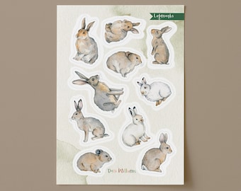 Rabbit, Hare and Pika (Lagomorpha) Animal Sticker Sheet
