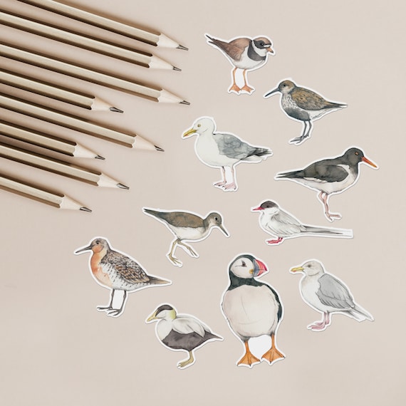 Small Bird Stickers