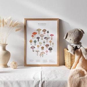 Puede incluir: Un cuadro enmarcado con una ilustraci&oacute;n a la acuarela de varias setas. El cuadro, titulado "Mushrooms of the British Isles", muestra una variedad de hongos en tonos marrones, rojos y amarillos. El marco es de madera clara.