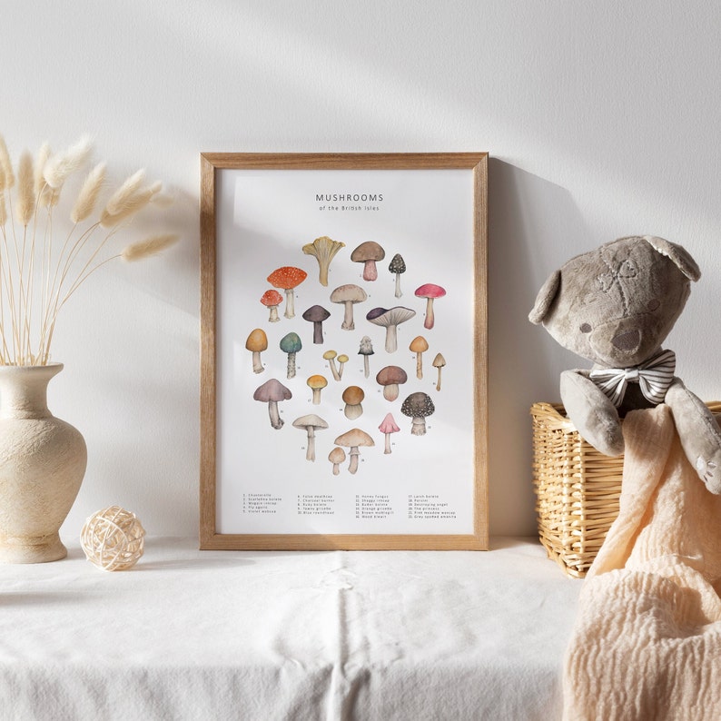 Puede incluir: Un cuadro enmarcado con una ilustraci&oacute;n a la acuarela de varias setas. El cuadro, titulado "Mushrooms of the British Isles", muestra una variedad de hongos en tonos marrones, rojos y amarillos. El marco es de madera clara.