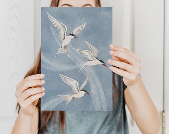 Arctic Terns in Flight - Art Print