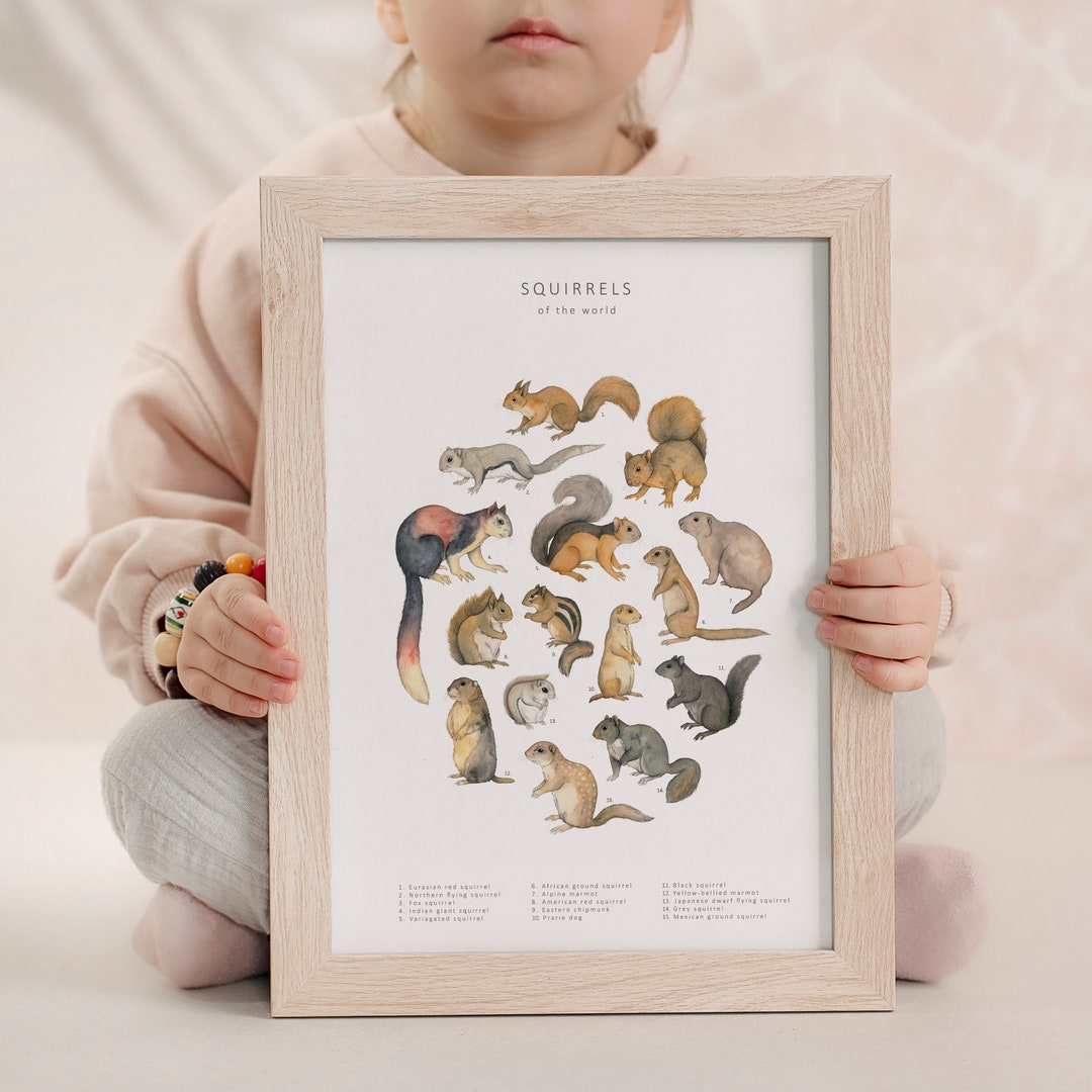 Squirrels Illustration Downloadable Art Print - Etsy