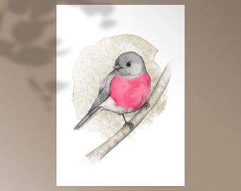 Rose robin large postcard