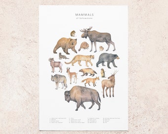 Animals of Yellowstone postcard