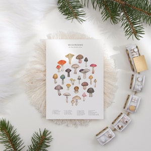 Puede incluir: Una l&aacute;mina bot&aacute;nica titulada "Mushrooms of the British Isles" presenta una ilustraci&oacute;n a la acuarela de varias especies de setas. La l&aacute;mina muestra una variedad de colores, incluyendo rojo, marr&oacute;n y amarillo. Tambi&eacute;n hay un collar decorativo con elementos blancos y dorados.