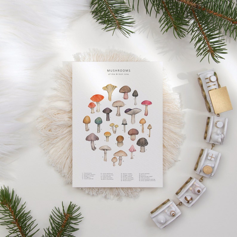 Puede incluir: Una l&aacute;mina bot&aacute;nica titulada "Mushrooms of the British Isles" presenta una ilustraci&oacute;n a la acuarela de varias especies de setas. La l&aacute;mina muestra una variedad de colores, incluyendo rojo, marr&oacute;n y amarillo. Tambi&eacute;n hay un collar decorativo con elementos blancos y dorados.