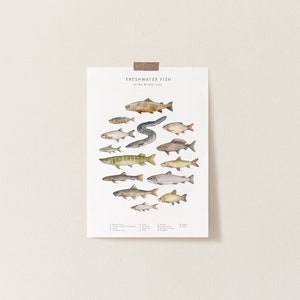 Freshwater fish postcard image 2