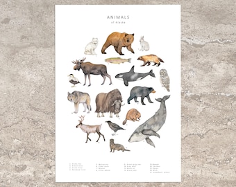 Alaskan animals postcard print