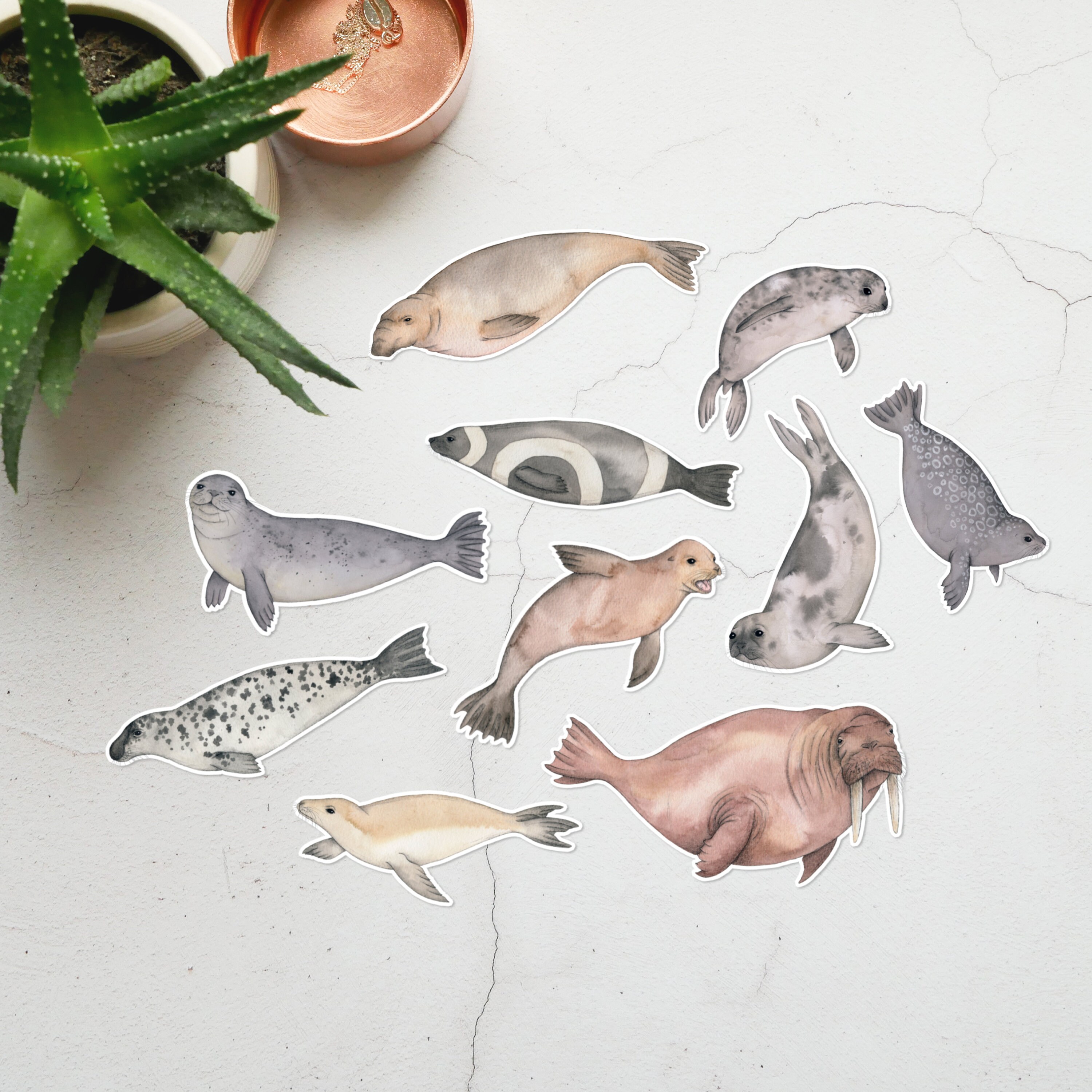 Animal Stickers Seals Etsy Animal Stickers Seals Etsy