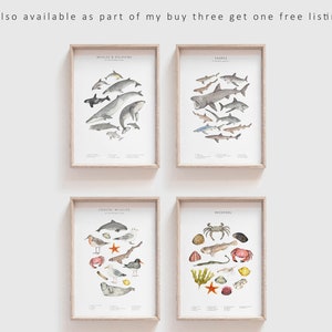 Watercolour shark print animal wall art image 7